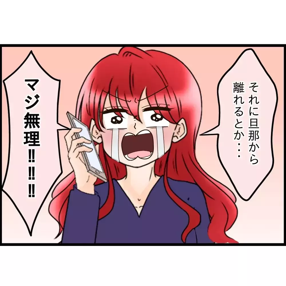 弟嫁の選択は？実家に帰るのか…それとも我慢して義母と一緒に住むのか…【嫁姑問題に巻き込まれています Vol.113】