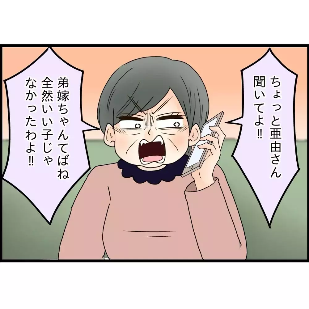 数日後…今度は義母から電話がキタ！何かあったのかと思い話を聞いてみると…【嫁姑問題に巻き込まれています Vol.114】