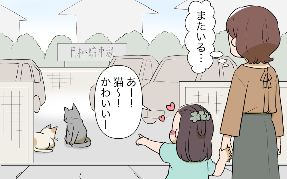 「まさか…お隣さんが鳥と猫に餌やりしてる!?」怒鳴り込みしてくる隣人とトラブル発生…解決策は？