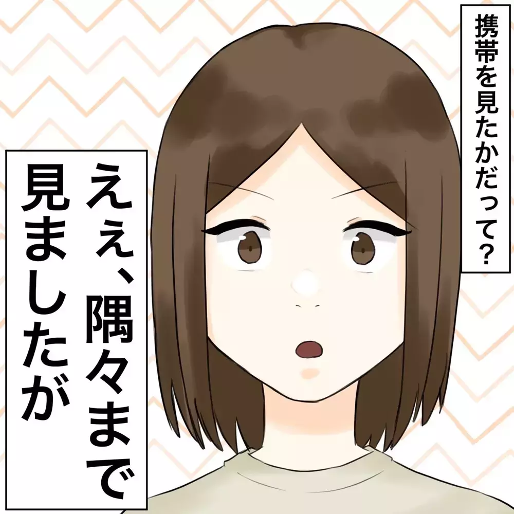 スマホのパスワードを変えられた!? 証拠集めに暗雲が…【夫にもう１つの家庭が？ Vol.7】