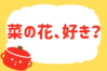 「菜の花、好き？」＜回答数25,088票＞【教えて！ みんなの衣食住「みんなの暮らし調査隊」結果発表 第466回】