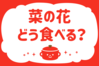 「菜の花、どう食べる？」＜回答数22,185票＞【教えて！ みんなの衣食住「みんなの暮らし調査隊」結果発表 第467回】