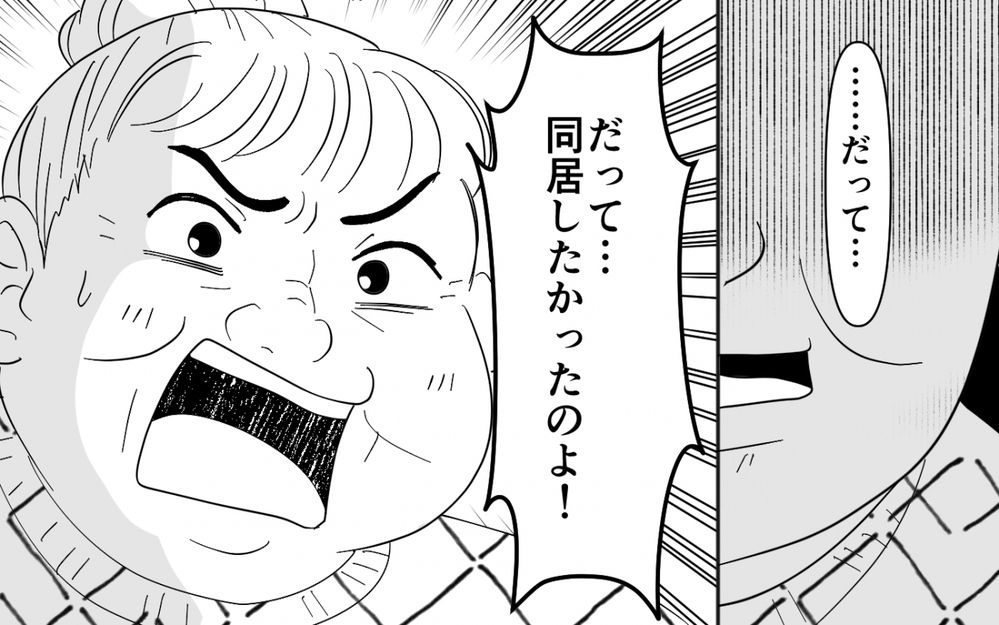 「同居したかったの！」泣き落としを始めた義母に冷静な嫁「これ以上嘘をつくのはやめて」【同居したら呼び捨て義母 Vol.9】