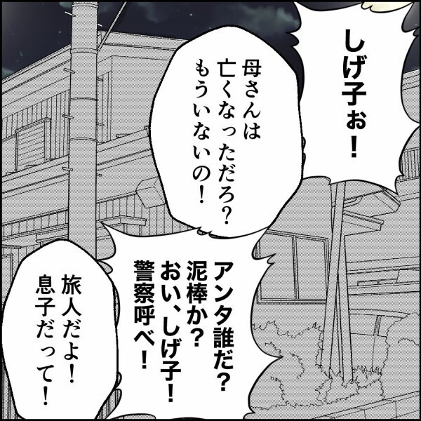 俺のことが分からない父…「お前誰だ！泥棒か！」これが介護の現実だった【離婚後同居 Vol.94】