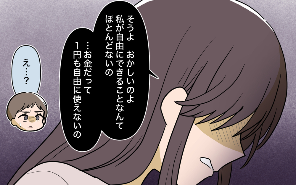 「何が普通かわからなくなる」姉の言葉で気がついた…これは普通の夫婦ゲンカじゃない【姉が帰らない理由 第4話】