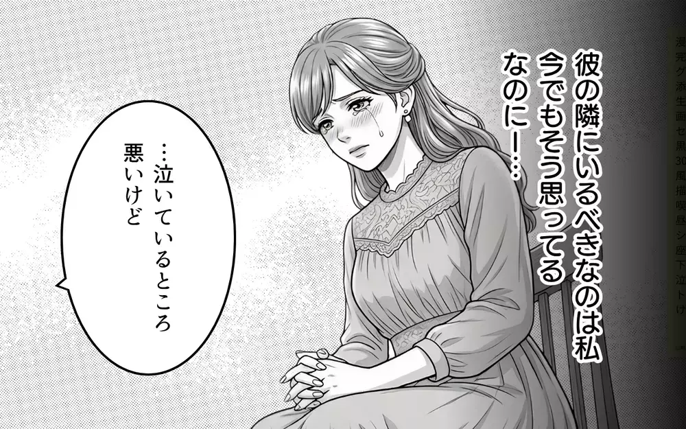 慰謝料は払えない…でも諦めたくない！ だって私たちは結ばれる運命なんだから！【同じ女に二度奪われた夫 Vol.11】