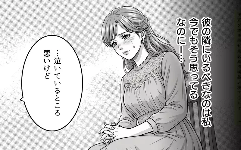 慰謝料は払えない…でも諦めたくない！ だって私たちは結ばれる運命なんだから！【同じ女に二度奪われた夫 Vol.11】