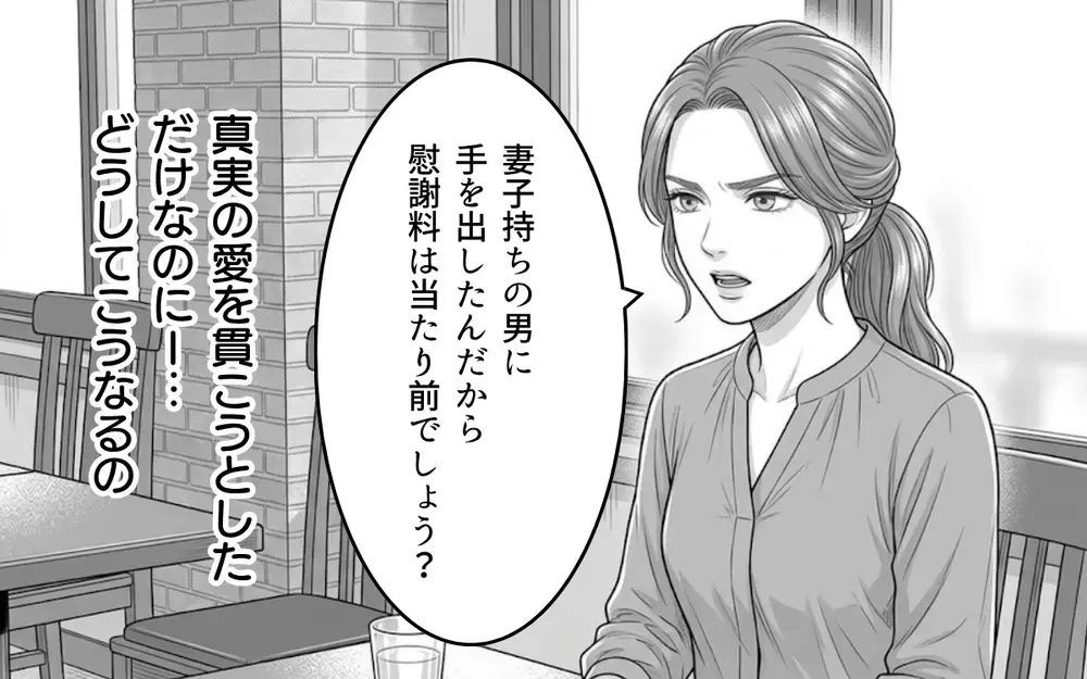 慰謝料は払えない…でも諦めたくない！ だって私たちは結ばれる運命なんだから！【同じ女に二度奪われた夫 Vol.11】