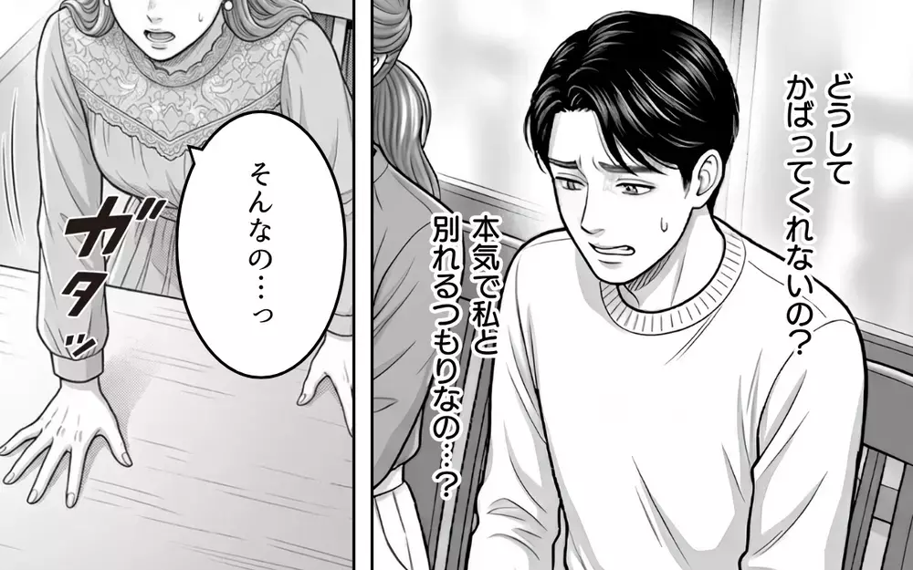 慰謝料は払えない…でも諦めたくない！ だって私たちは結ばれる運命なんだから！【同じ女に二度奪われた夫 Vol.11】