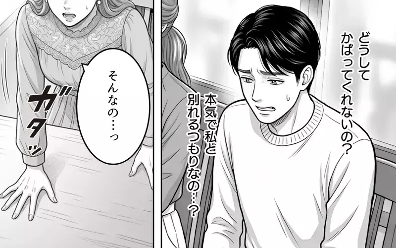 慰謝料は払えない…でも諦めたくない！ だって私たちは結ばれる運命なんだから！【同じ女に二度奪われた夫 Vol.11】