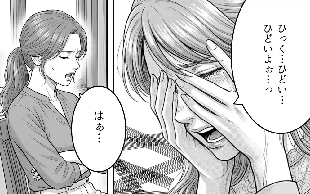 慰謝料は払えない…でも諦めたくない！ だって私たちは結ばれる運命なんだから！【同じ女に二度奪われた夫 Vol.11】