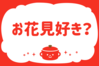 「お花見好き？」＜回答数37,387票＞【教えて！ みんなの衣食住「みんなの暮らし調査隊」結果発表 第505回】