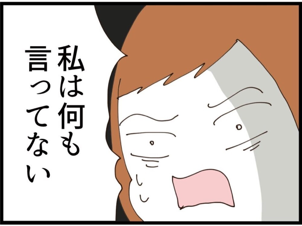 「反省しなよ」正論を言った瞬間夫がまさかの応戦その一言で再炎上【私が義妹と縁を切った理由 Vol.105】
