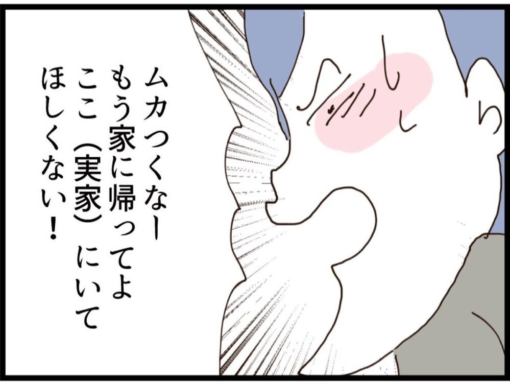 兄弟喧嘩が勃発！母から「帰ってくれない？」実家から追い出される…【私が義妹と縁を切った理由 Vol.116】