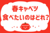 「春キャベツ、食べたいのはどれ？」＜回答数37,804票＞【教えて！ みんなの衣食住「みんなの暮らし調査隊」結果発表 第511回】