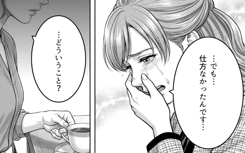 「偶然だった」「また付き合おうなんて考えていない」再び現れた夫の彼女の涙は本物？ 妻の思惑は…【同じ女に二度奪われた夫 Vol.16】