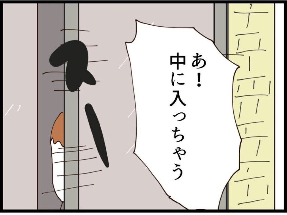 オートロック越しの恐怖…自宅前に現れた元夫と義妹に戦慄【私が義妹と縁を切った理由 Vol.169】
