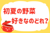 「初夏の野菜、好きなのどれ？」＜回答数40,184票＞【教えて！ みんなの衣食住「みんなの暮らし調査隊」結果発表 第569回】