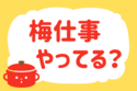 「梅仕事、やってる？」＜回答数38,814票＞【教えて！ みんなの衣食住「みんなの暮らし調査隊」結果発表 第576回】