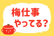 「梅仕事、やってる？」＜回答数38,814票＞【教えて！ みんなの衣食住「みんなの暮らし調査隊」結果発表 第576回】