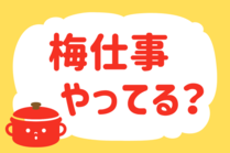 「みんなの暮らし調査隊」今日の質問は「梅仕事、やってる？」。さてみなさんの回答は…？<br />