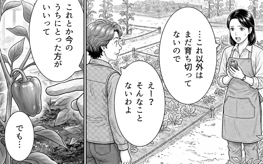 「経験者の話を聞きなさいよ！」隣人からの野菜のおねだりを拒否すると…まさかの反応に唖然！【うちの畑を荒らす隣人 Vol.5】