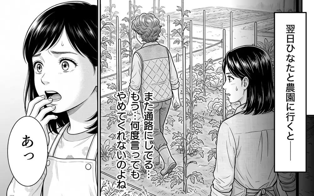 「経験者の話を聞きなさいよ！」隣人からの野菜のおねだりを拒否すると…まさかの反応に唖然！【うちの畑を荒らす隣人 Vol.5】