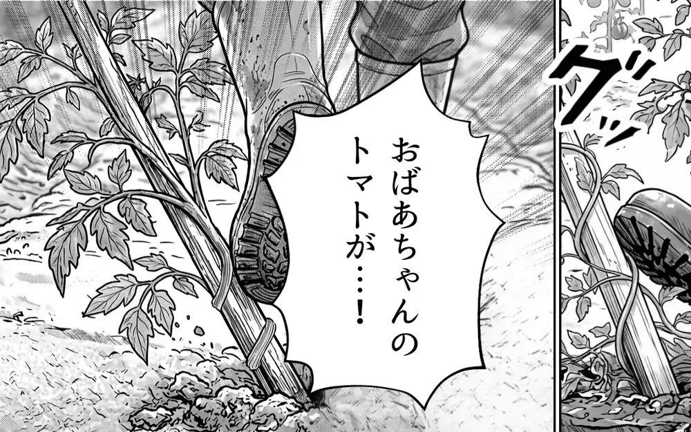 「経験者の話を聞きなさいよ！」隣人からの野菜のおねだりを拒否すると…まさかの反応に唖然！【うちの畑を荒らす隣人 Vol.5】