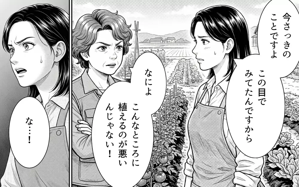 「風のせいでしょ」自分の罪を認めない隣人に悩む日々…さらには私の悪口を言い触らし始め!?【うちの畑を荒らす隣人 Vol.6】