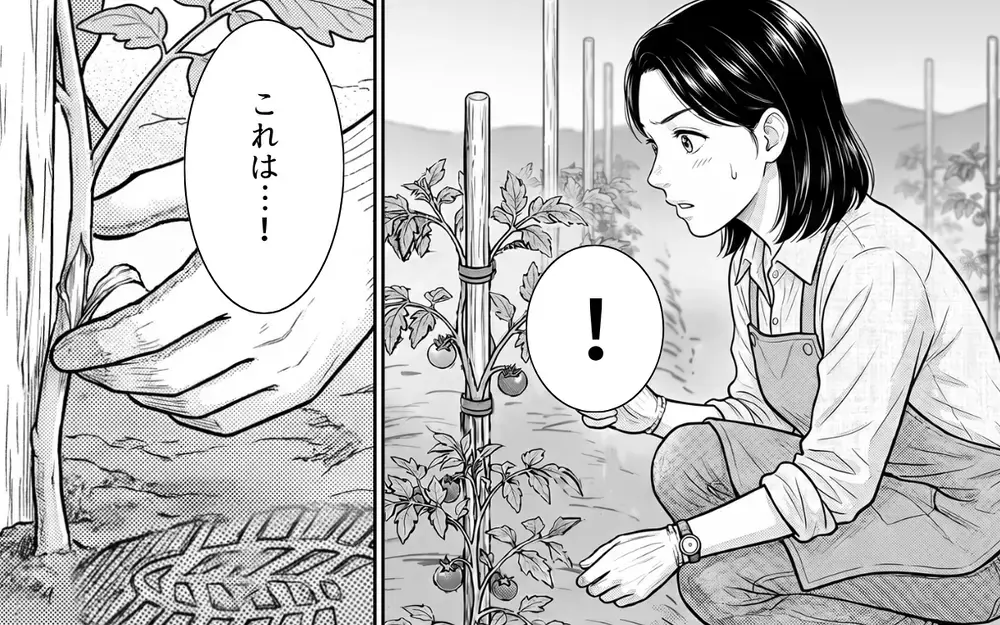 「風のせいでしょ」自分の罪を認めない隣人に悩む日々…さらには私の悪口を言い触らし始め!?【うちの畑を荒らす隣人 Vol.6】