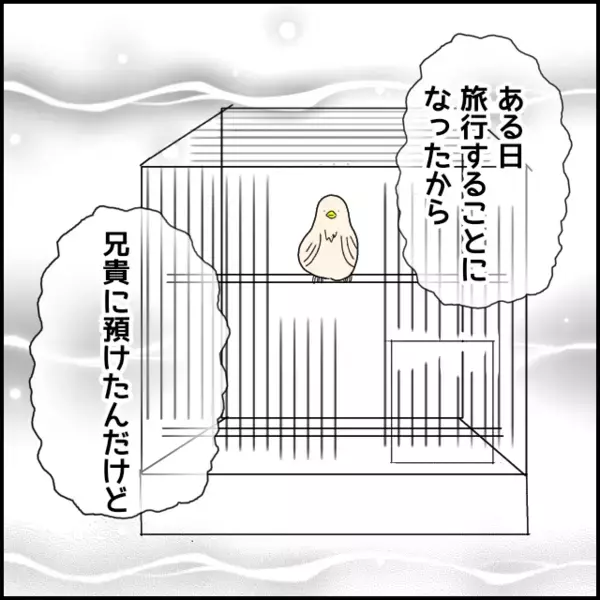 「兄貴を一生許さない！」突然の怒り爆発に恐怖を覚えるよし子…彼のツボと沸点がわからない【あなたが理解できません Vol.18】