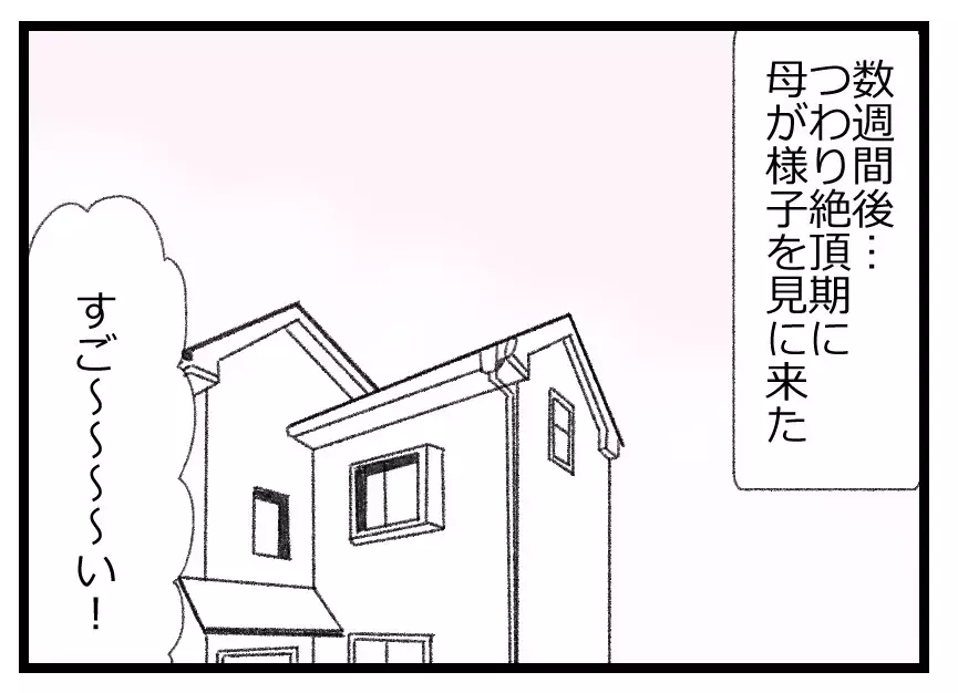 夫の優しさを疑わない実母と夫への違和感を言い出せない娘…悲劇の足音が近づいている【母親ならすべてを許さないとダメですか？ Vol.61】