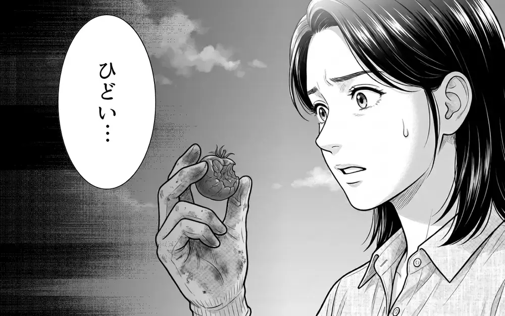 「あら、ごめんなさいね？」って絶対悪いと思ってないでしょ…！ 私の畑に平然と踏み入る隣人…無視？悪意？その行動にモヤモヤが止まらない