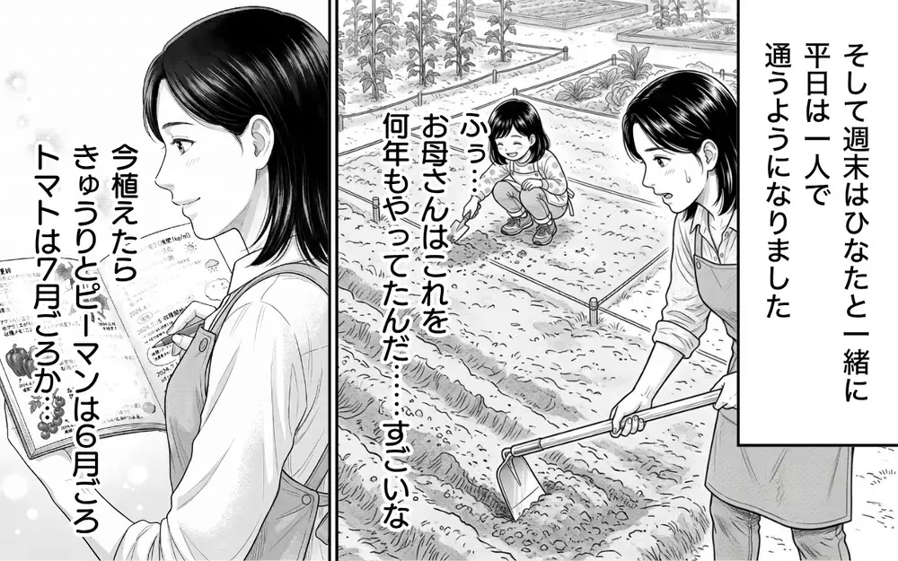 「あら、ごめんなさいね？」って絶対悪いと思ってないでしょ…！ 私の畑に平然と踏み入る隣人…無視？悪意？その行動にモヤモヤが止まらない