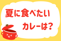 「夏に食べたいカレーは？」＜回答数33,329票＞【教えて！ みんなの衣食住「みんなの暮らし調査隊」結果発表 第623回】