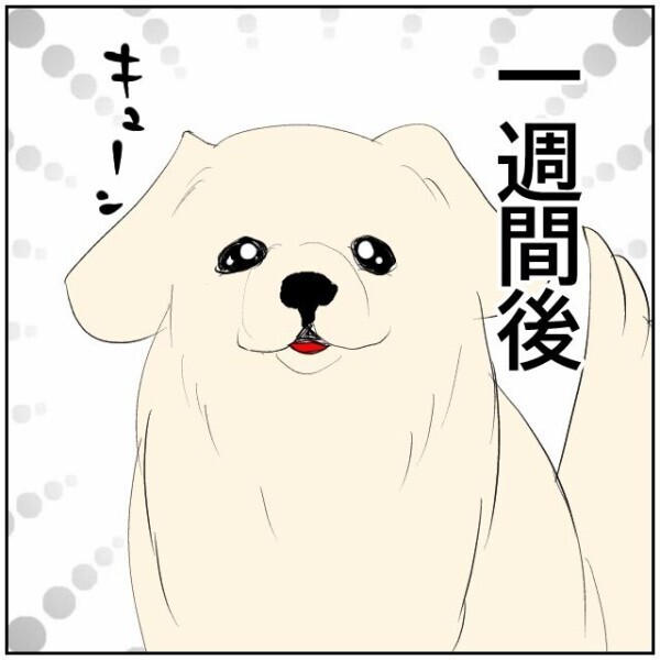 「限界でトイレまで間に合わなかったのかも…」高齢者の粗相かとしばらく様子を見ることに…【理想の家を建てたのに Vol.2】