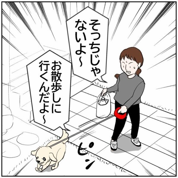 妻も愛犬も気づいてしまった臭い…解決したと思っていた粗相問題はまだ続いていた!?【理想の家を建てたのに Vol.14】