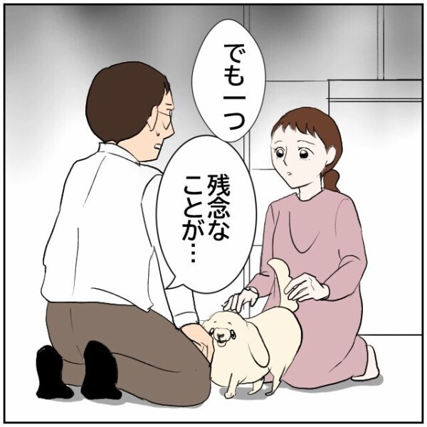 妻が実家に帰っている間に当事者意識が芽生えた夫… 問題は解決できなかったけれど？【理想の家を建てたのに Vol.67】
