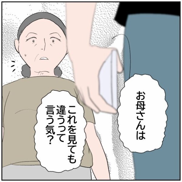 娘が味方になってくれない！ あくまで被害者面の母親vs真実を知ってしまった娘【理想の家を建てたのに Vol.96】
