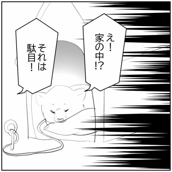 「寿命だったの」愛犬との別れを嘆く祖父の気持ちはわかる… でも現実から目を背けてはいけない【理想の家を建てたのに Vol.101】