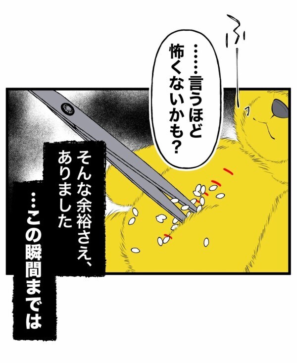 「本当にそんなことあるの？」好奇心で真夜中にひとりかくれんぼをやってみたら…手順通りに終わらせたはずなのに異変が!?