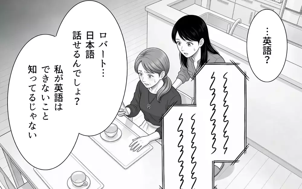 【アプリ限定】義母「お願い…お顔を見せて」ビデオ通話に応答しない現実を突きつけられた義母は？【あやしい彼氏ができた義母 Vol.9】