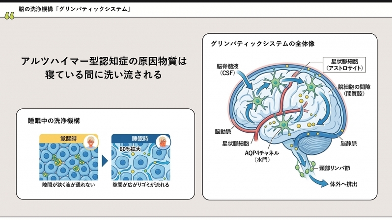 日本のママは世界一、睡眠不足？！ 大人も子どもも「脳のメンテナンス時間」が重要なワケ 【睡眠と脳の専門家、西野先生・近藤先生から学ぶ】