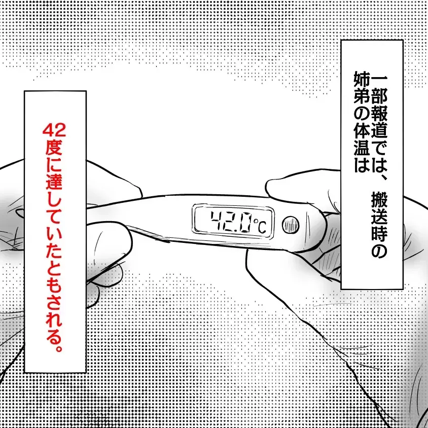 「エンジンかけてるから大丈夫」猛暑の車内に幼いきょうだいを残した母が事件を起こしてしまうまで