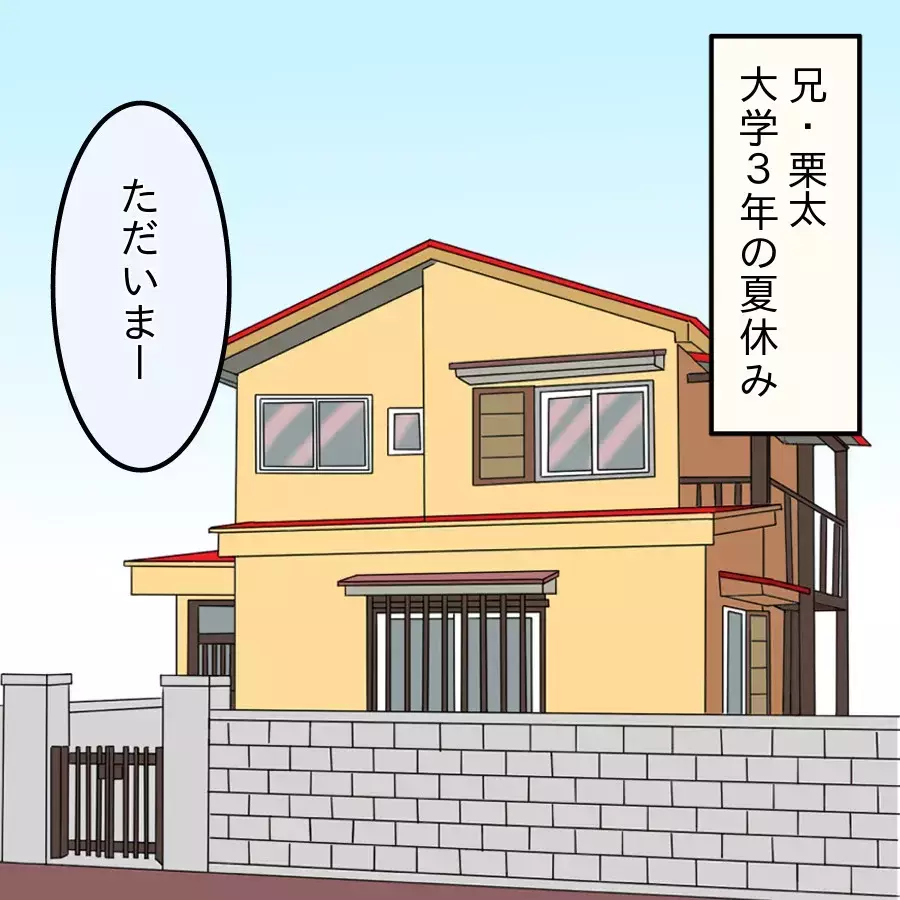 「母親が無職とか恥ずかしい」怪しい成功者を信じた兄が家族を失うまで…妹が語る“まだ終わらない実話”