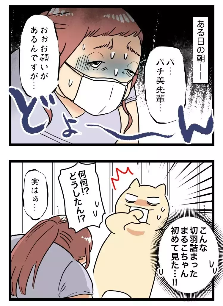 「配慮お願いしまぁす」昼寝に仕事拒否…妊娠を盾にやりたい放題のモンスター後輩の結末