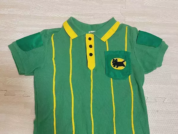 4歳息子のために母親が手作りした『ハロウィン衣装』　写真に「すごすぎて笑った！」