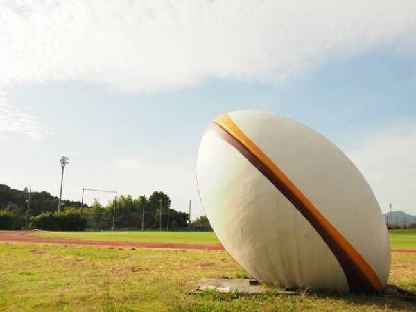 早稲田大学ラグビー蹴球部「女子部」誕生を発表