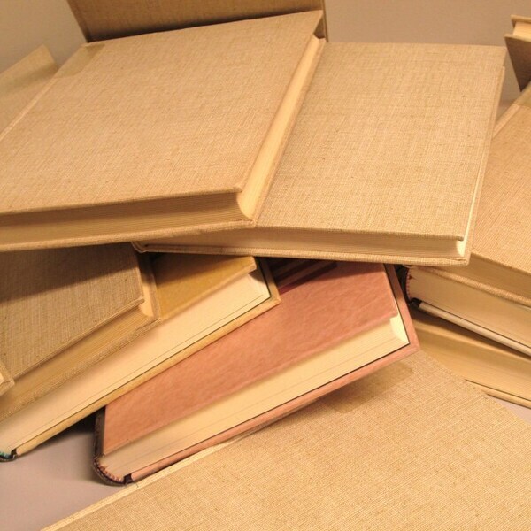 「宅建」合格発表…芸能界にも吉報　受験者24.5万人、合格率18.7％【試験実施・合格者の概要】