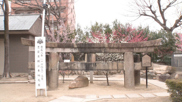 大阪の神社仏閣“謎スポット”　低すぎる鳥居、急勾配の橋、屋根の上にある釣鐘、ビルに挟まれた神社　テレビ大阪『誰も知らんキング』